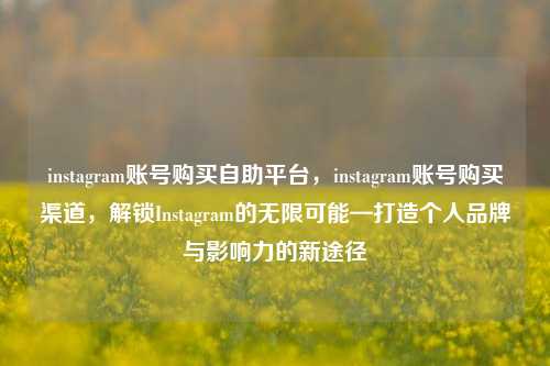instagram账号购买自助平台，instagram账号购买渠道，解锁Instagram的无限可能—打造个人品牌与影响力的新途径