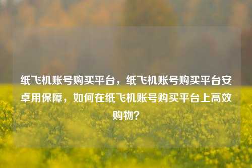 纸飞机账号购买平台，纸飞机账号购买平台安卓用保障，如何在纸飞机账号购买平台上高效购物？