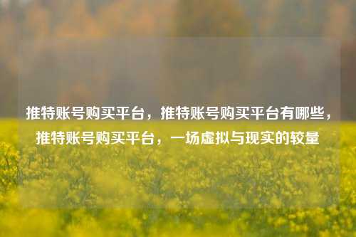 推特账号购买平台，推特账号购买平台有哪些，推特账号购买平台，一场虚拟与现实的较量