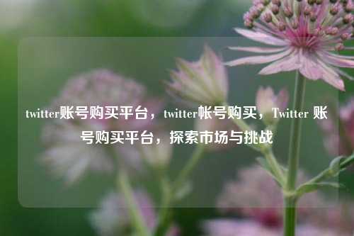 twitter账号购买平台，twitter帐号购买，Twitter 账号购买平台，探索市场与挑战