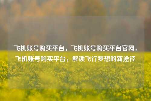飞机账号购买平台，飞机账号购买平台官网，飞机账号购买平台，解锁飞行梦想的新途径