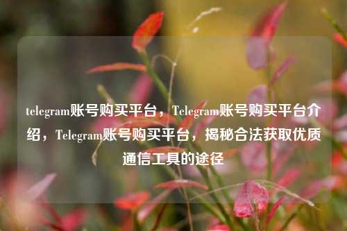 telegram账号购买平台，Telegram账号购买平台介绍，Telegram账号购买平台，揭秘合法获取优质通信工具的途径