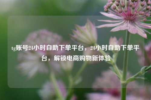 tg账号24小时自助下单平台，24小时自助下单平台，解锁电商购物新体验
