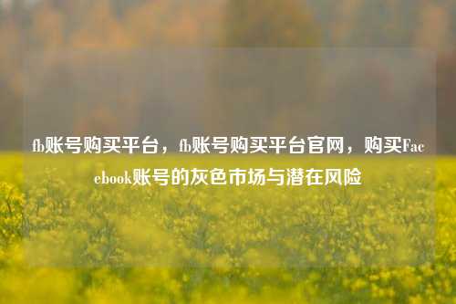 fb账号购买平台，fb账号购买平台官网，购买Facebook账号的灰色市场与潜在风险