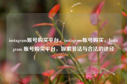 instagram账号购买平台	，instagram帐号购买，Instagram 账号购买平台，探索非法与合法的途径  第1张