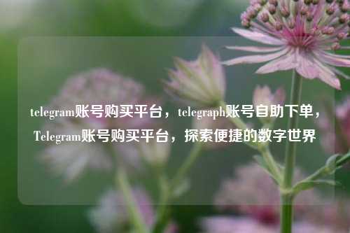 telegram账号购买平台	，telegraph账号自助下单，Telegram账号购买平台，探索便捷的数字世界  第1张