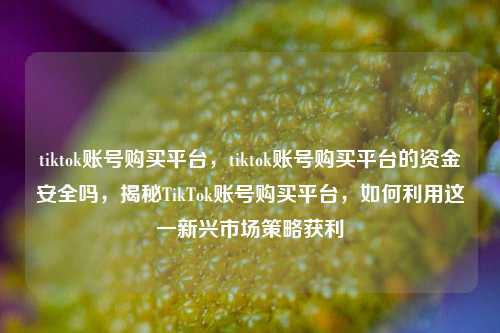 tiktok账号购买平台，tiktok账号购买平台的资金安全吗，揭秘TikTok账号购买平台，如何利用这一新兴市场策略获利
