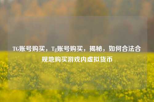 TG账号购买，Tg账号购买，揭秘，如何合法合规地购买游戏内虚拟货币
