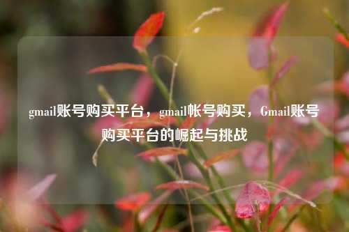 gmail账号购买平台，gmail帐号购买，Gmail账号购买平台的崛起与挑战