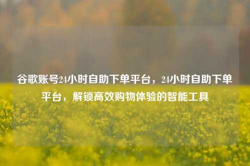 谷歌账号24小时自助下单平台，24小时自助下单平台，解锁高效购物体验的智能工具