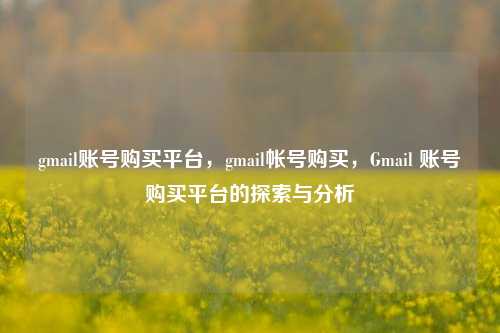 gmail账号购买平台，gmail帐号购买，Gmail 账号购买平台的探索与分析
