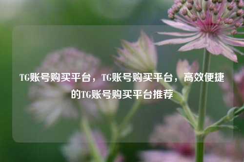 TG账号购买平台，TG账号购买平台，高效便捷的TG账号购买平台推荐