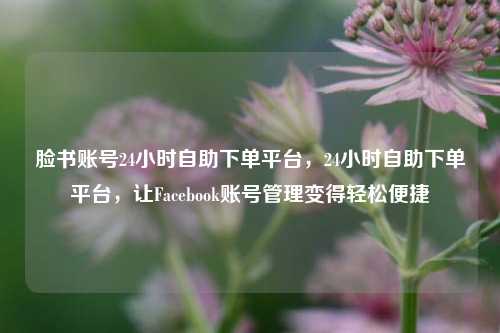 脸书账号24小时自助下单平台，24小时自助下单平台，让Facebook账号管理变得轻松便捷
