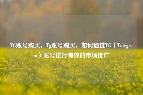 TG账号购买，Tg账号购买，如何通过TG（Telegram）账号进行有效的市场推广