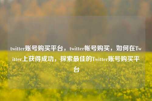 twitter账号购买平台，twitter帐号购买，如何在Twitter上获得成功，探索最佳的Twitter账号购买平台