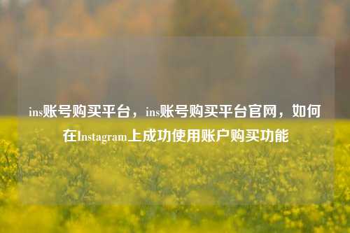 ins账号购买平台，ins账号购买平台官网，如何在Instagram上成功使用账户购买功能