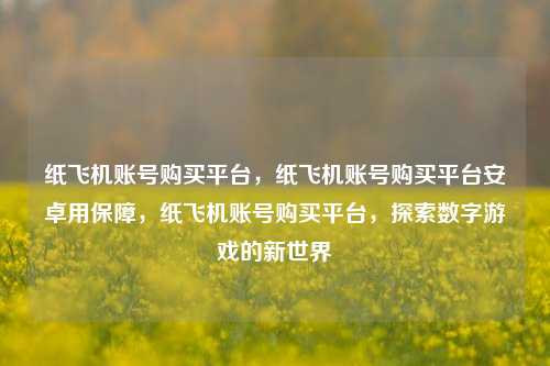 纸飞机账号购买平台，纸飞机账号购买平台安卓用保障，纸飞机账号购买平台，探索数字游戏的新世界