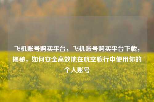 飞机账号购买平台，飞机账号购买平台下载，揭秘，如何安全高效地在航空旅行中使用你的个人账号