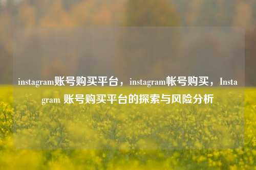 instagram账号购买平台，instagram帐号购买，Instagram 账号购买平台的探索与风险分析