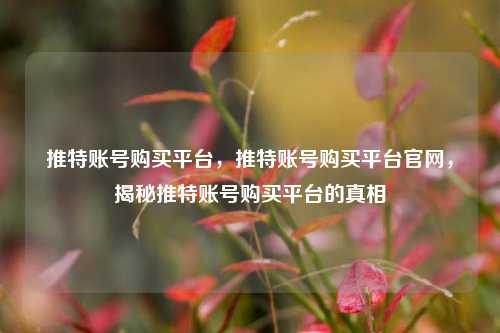 推特账号购买平台，推特账号购买平台官网，揭秘推特账号购买平台的真相