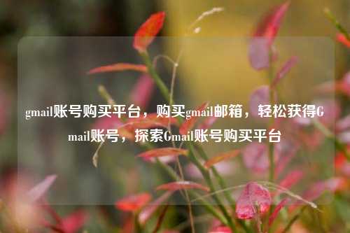 gmail账号购买平台，购买gmail邮箱，轻松获得Gmail账号，探索Gmail账号购买平台