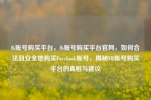 fb账号购买平台，fb账号购买平台官网，如何合法且安全地购买Facebook账号，揭秘FB账号购买平台的真相与建议