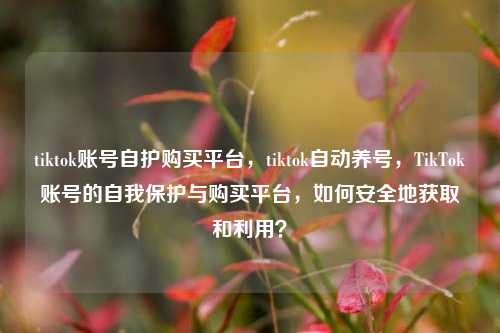 tiktok账号自护购买平台，tiktok自动养号，TikTok账号的自我保护与购买平台，如何安全地获取和利用？
