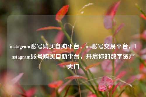 instagram账号购买自助平台，ins账号交易平台，Instagram账号购买自助平台，开启你的数字资产大门