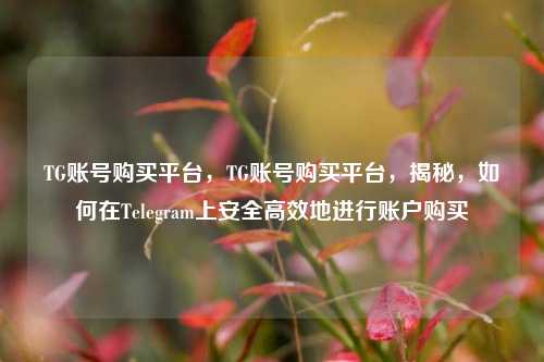 TG账号购买平台，TG账号购买平台，揭秘，如何在Telegram上安全高效地进行账户购买