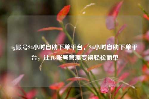 tg账号24小时自助下单平台，24小时自助下单平台，让TG账号管理变得轻松简单