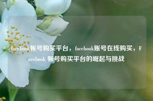 facebook帐号购买平台，facebook账号在线购买，Facebook 帐号购买平台的崛起与挑战