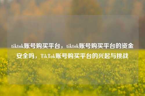 tiktok账号购买平台，tiktok账号购买平台的资金安全吗，TikTok账号购买平台的兴起与挑战
