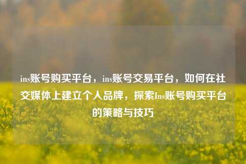 ins账号购买平台，ins账号交易平台，如何在社交媒体上建立个人品牌，探索Ins账号购买平台的策略与技巧