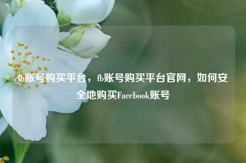 fb账号购买平台，fb账号购买平台官网，如何安全地购买Facebook账号