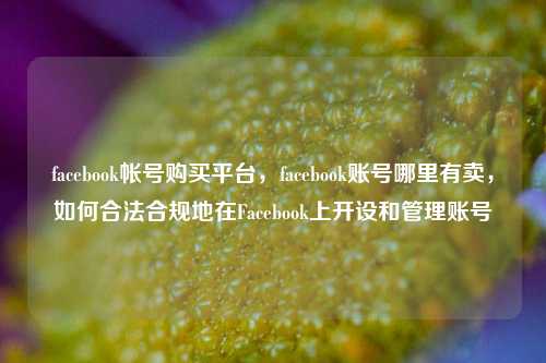 facebook帐号购买平台，facebook账号哪里有卖，如何合法合规地在Facebook上开设和管理账号