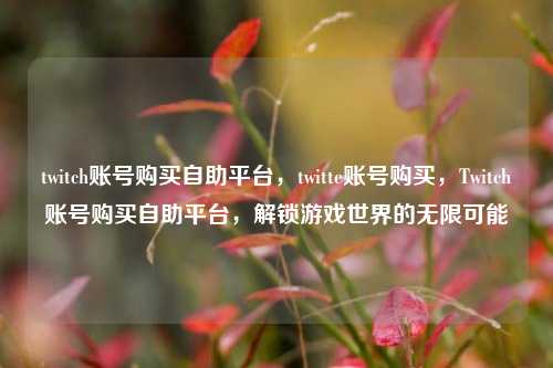 twitch账号购买自助平台，twitte账号购买，Twitch账号购买自助平台，解锁游戏世界的无限可能
