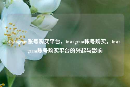 instagram账号购买平台，instagram帐号购买，Instagram账号购买平台的兴起与影响