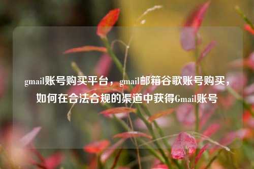 gmail账号购买平台，gmail邮箱谷歌账号购买，如何在合法合规的渠道中获得Gmail账号