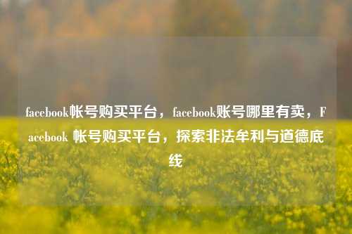 facebook帐号购买平台，facebook账号哪里有卖，Facebook 帐号购买平台，探索非法牟利与道德底线