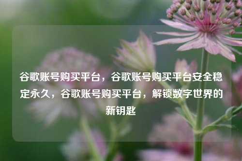 谷歌账号购买平台，谷歌账号购买平台安全稳定永久，谷歌账号购买平台，解锁数字世界的新钥匙