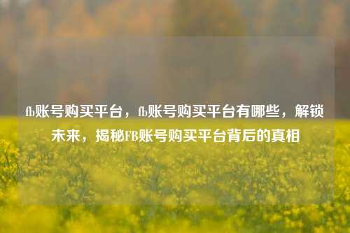 fb账号购买平台，fb账号购买平台有哪些，解锁未来，揭秘FB账号购买平台背后的真相