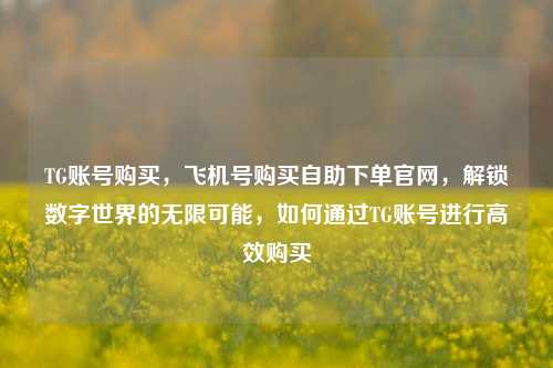 TG账号购买，飞机号购买自助下单官网，解锁数字世界的无限可能，如何通过TG账号进行高效购买