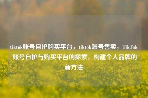 tiktok账号自护购买平台，tiktok账号售卖，TikTok 账号自护与购买平台的探索，构建个人品牌的新方法
