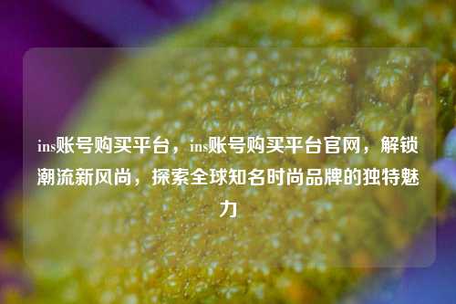 ins账号购买平台，ins账号购买平台官网，解锁潮流新风尚，探索全球知名时尚品牌的独特魅力
