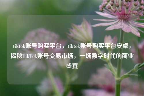 tiktok账号购买平台，tiktok账号购买平台安卓，揭秘TikTok账号交易市场，一场数字时代的商业盛宴