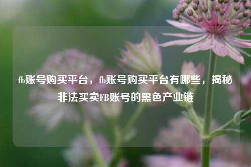fb账号购买平台，fb账号购买平台有哪些，揭秘非法买卖FB账号的黑色产业链