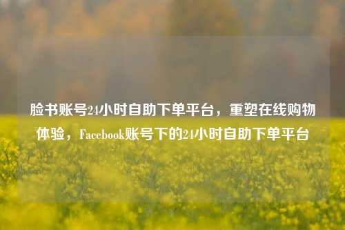 脸书账号24小时自助下单平台，重塑在线购物体验，Facebook账号下的24小时自助下单平台