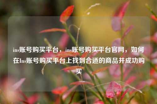 ins账号购买平台，ins账号购买平台官网，如何在Ins账号购买平台上找到合适的商品并成功购买