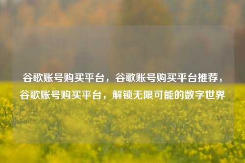 谷歌账号购买平台，谷歌账号购买平台推荐，谷歌账号购买平台，解锁无限可能的数字世界