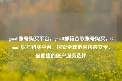 gmail账号购买平台，gmail邮箱谷歌账号购买，Gmail 账号购买平台，探索全球范围内最安全、最便捷的账户服务选择